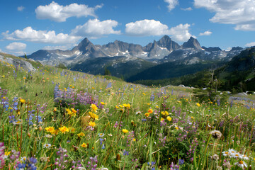 Fototapeta premium Golden alpine meadow with wildflowers and rugged