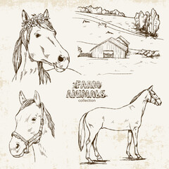 Hand-drawn set in vintage style with horses and a farm on a light background with texture.