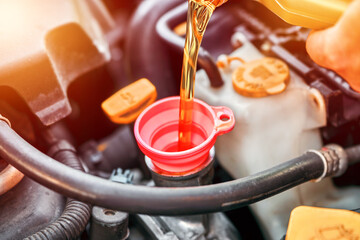 Pouring fresh oil during vehicle maintenance work