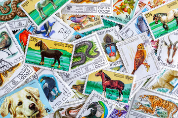 Obraz premium Postage stamps.A collection of world stamps in a pile.Postage stamps from different countries and times