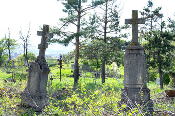Old gravestones with crosses against the background of trees in a churchyard