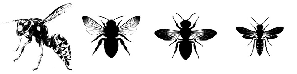 A wasp or bee stands alone as a silhouette on a white background