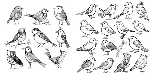 Naklejka premium The collection features hand-drawn doodle style birds set against a white background, including bird icons, animals, and modern birds suitable for design