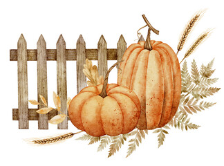 Watercolor illustration with Pumpkins and wooden fence, with ferns and wheat. Rustic autumn drawing with fall leaves for seasonal greeting cards or thanksgiving invitations. Art for harvest festival.