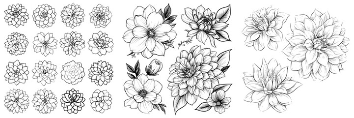 A collection of 21 different styles of isolated white Dahlia silhouettes