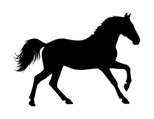 Obraz premium Black silhouette of a running horse suitable for equestrian designs, logos, sports branding, ranch businesses, or nature themed projects.