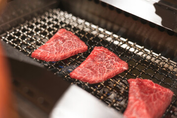 cooking raw meat on grill with fire and heat, metal wire grill equipment