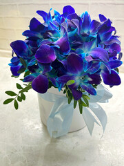 Plakat Beautiful arrangement of blue orchids in a white pot adorned with a light blue ribbon, creating an elegant floral display in a bright and airy environment