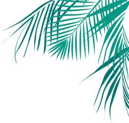 Coconut Leaves Corner 
