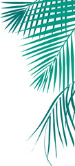 Coconut Leaves Corner 