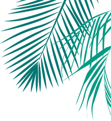 Coconut Leaves Corner 