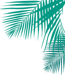 Coconut Leaves Corner 
