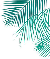 Coconut Leaves Corner 