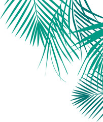 Coconut Leaves Corner 