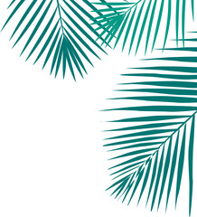 Coconut Leaves Corner 