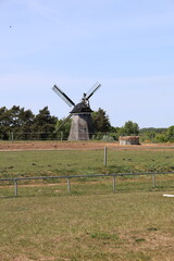Blick auf die Holländerwindmühle auf dem Mühlenberg in Benz auf der Insel Usedom