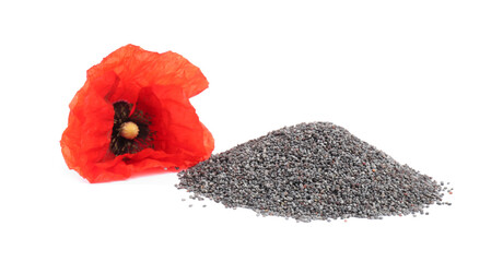 Heap of poppy seeds and flower isolated on white