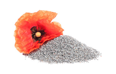 Heap of poppy seeds and red flower isolated on white