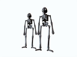 The white background in the picture is a black decorative bone skeleton made of good quality plastic. The black is a human body with bones in the body. Everything is used for decoration, assembly.