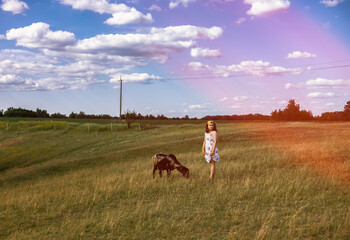 Child and sheep against a rural background