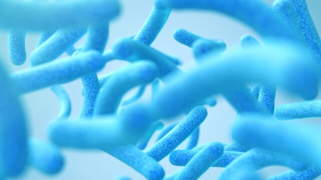 Lactobacillus bacteria, probiotic medical background 3d illustration.