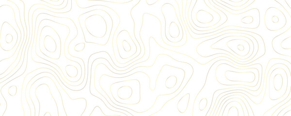 Gold contour lines on white topographic map background