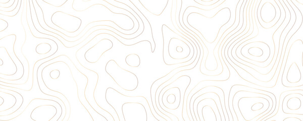 Gold Topographic Contour Lines on White Background 3