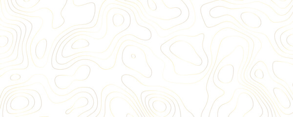Gold Topographic Contour Lines on White Background