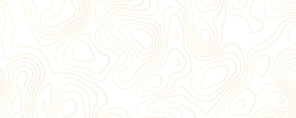 Gold Topographic Contour Lines on White Background 2