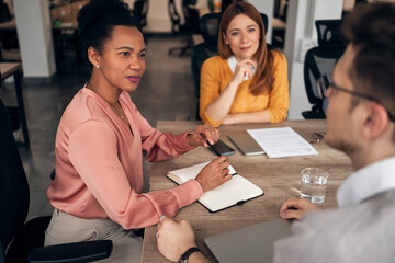 Professional Team Collaboration During a Business Meeting in Modern Office