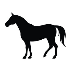 Black silhouette of a horse standing still on a white background