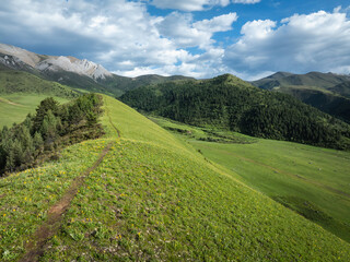 Aerial view of beautiful high altitude grassland mountains and forest landscape in China