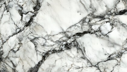 Elegant white marble with black veining pattern for luxury interior design