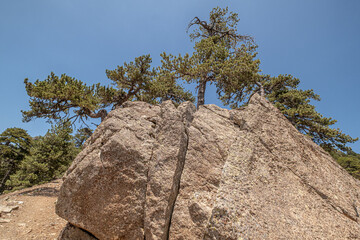 Atalante Trail, a 14 km circular (starts and ends at Troodos Square), almost level, moderately challenging trail around Mount Olympus in the Troodos Mountains, near Pano Platres, Limassol, Cyprus