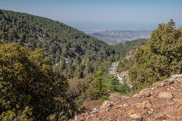 Atalante Trail, a 14 km circular (starts and ends at Troodos Square), almost level, moderately challenging trail around Mount Olympus in the Troodos Mountains, near Pano Platres, Limassol, Cyprus