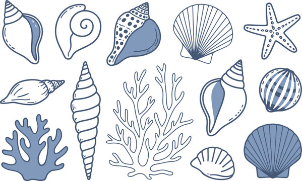Hand-drawn seashell and coral illustrations in blue and white