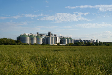 A modern agricultural complex with large metal grain storage silos, located in the middle of a green agricultural field. © Аліна Костюк