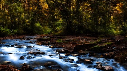 An autumnal forest landscape with a cascading waterfall flowing over rocks and fallen leaves into a stream
