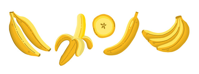 Hand drawn fresh banana fruit vector illustration. Peeled banana, banana bunch and banana slice. Tropical fruit vector art