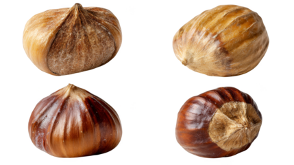 Diverse garlic varieties, exploring unique bulb shapes, sizes, and culinary applications.