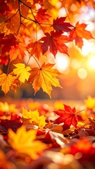 Fototapeta premium Autumn leaves bathed in sunlight