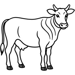 Cow vector