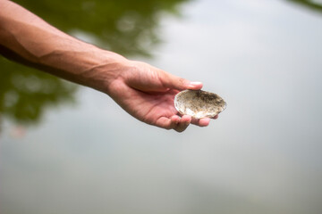 A boy managed to catch an oyster by a river and showed it to the camera