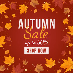 Vector autumn sale banner with pumpkins and colorful fall leaves on a dark red and brown background. Perfect seasonal illustration for discounts, promotions, and cozy fall marketing designs.