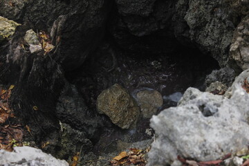 Mysterious Dark Pool Hidden Within Weathered Rocks, Autumn Leaves, Natural Cave