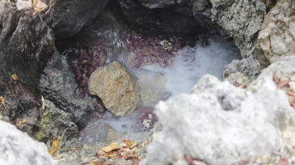 Secret Spring: Hidden Water Flowing Through Purple-Tinted Rocks