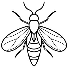 Firefly line art vector