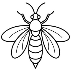 Firefly line art vector