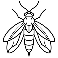 Firefly line art vector