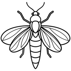 Firefly line art vector